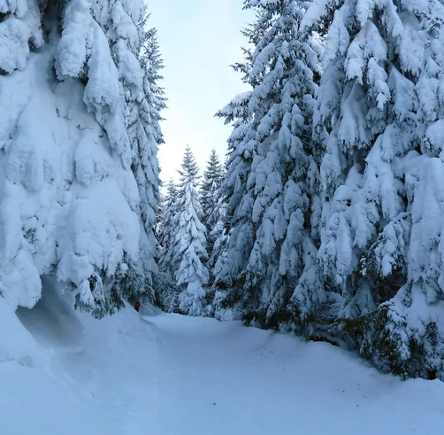 Winterlandschaft © Pixabay / flyupmike
